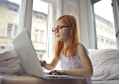 online pristup
